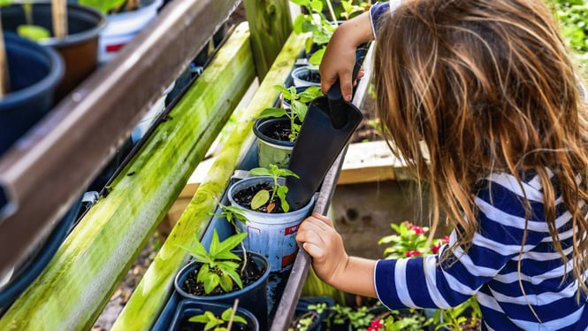 Creative Spring Activities for Preschoolers