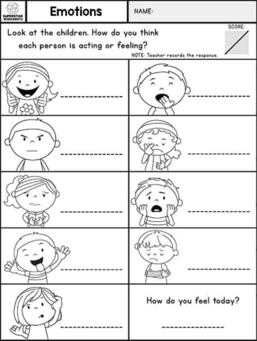 Social Emotional Assessment